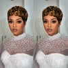 Human Hair Pixie Wig